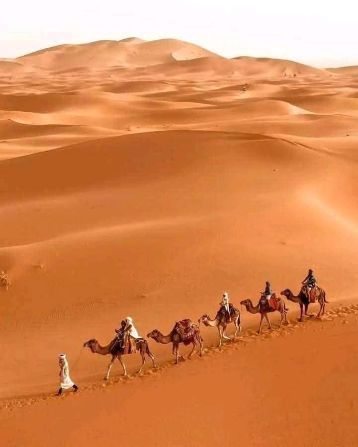 Hotel Bivouac Camel Trips Merzouga Exterior foto