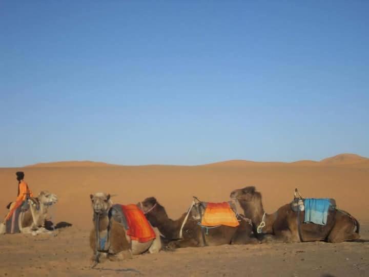 Hotel Bivouac Camel Trips Merzouga Exterior foto