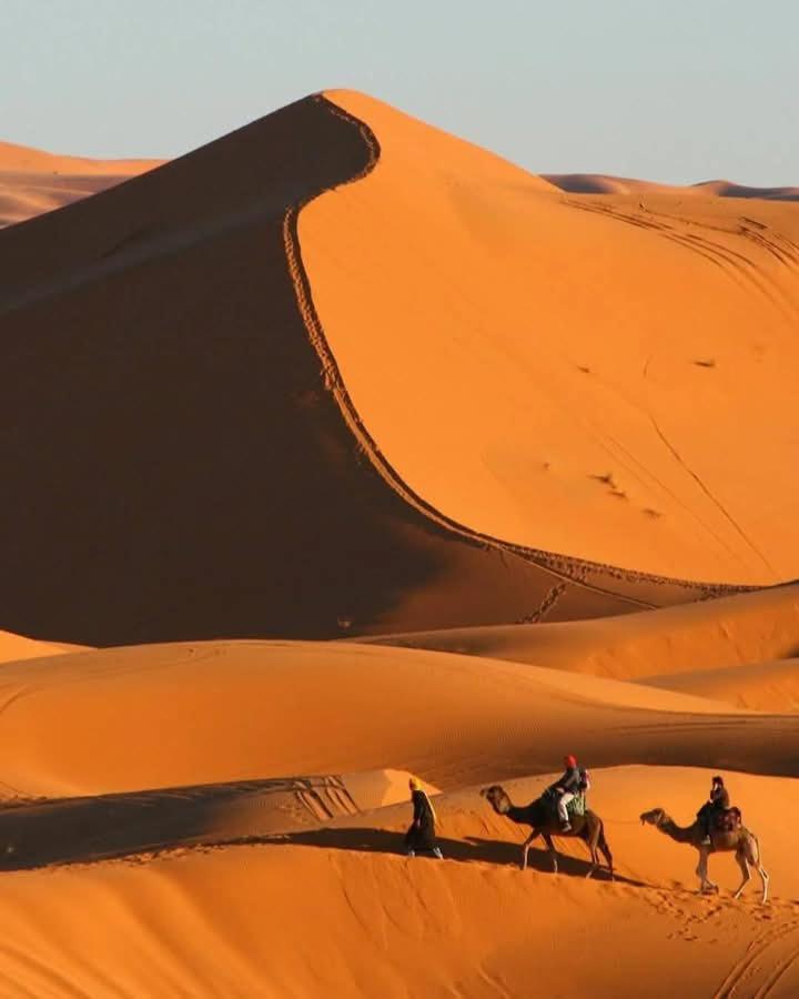 Hotel Bivouac Camel Trips Merzouga Exterior foto
